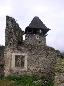 Невицький замок, ХІІІ-XVI ст.